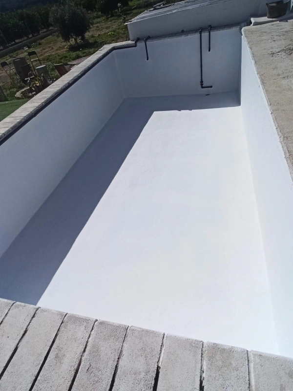 Proyecto nuevo (1)