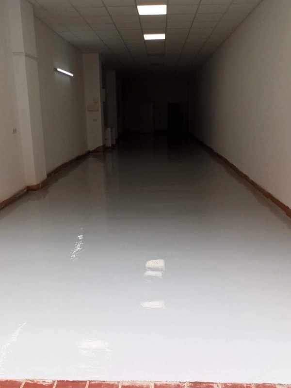 Proyecto nuevo (2)