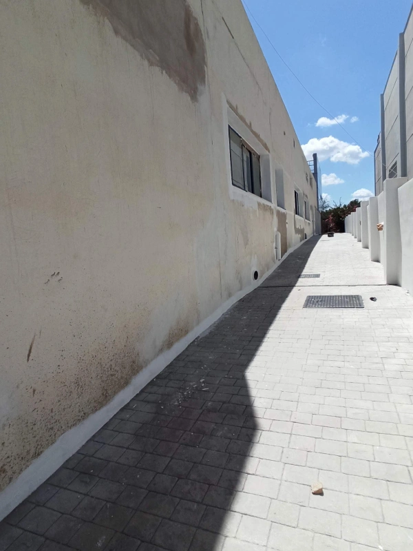 Proyecto nuevo