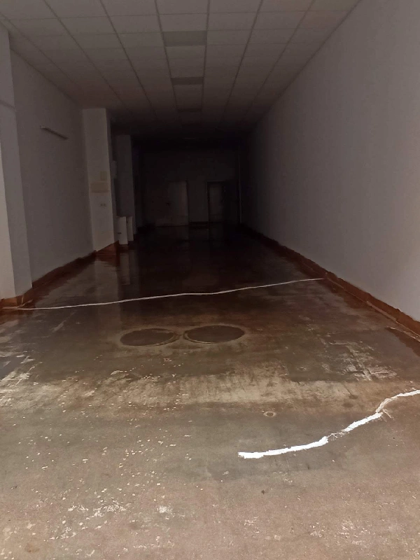 Proyecto nuevo